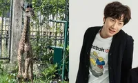 Góc đặt tên hươu cao cổ: Netizen &quot;triệu hồi&quot; Lee Kwang Soo, Thơm (Da LAB) cũng góp vui