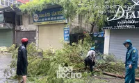 Hà Nội: Ảnh hưởng bão số 3 khiến hàng chục cây gãy đổ tại quận Hai Bà Trưng