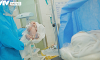 Phim tài liệu VTV Đặc biệt &quot;Ngày con chào đời&quot; lấy đi nước mắt của nhiều khán giả