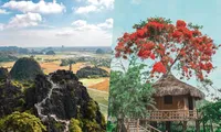 Điểm du lịch gần Hà Nội: Hang Múa (Ninh Bình) vẫn là nơi được yêu thích vào dịp đầu Xuân