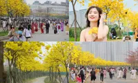 Con đường hoa &quot;hot&quot; nhất Hà Nội lúc này: Đông nườm nượp người tới &quot;check-in&quot;, chú ý xe cộ!