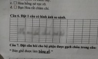 Học sinh Tiểu học đặt câu có hình ảnh so sánh, lấy ngay mẹ làm ví dụ khiến người đọc &quot;bật ngửa&quot;