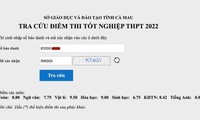 Vụ nam sinh trường chuyên nhận điểm 0 vì ngủ quên trong phòng thi: Làm rõ trách nhiệm của giám thị