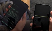 Người dùng than phiền iPhone 14 Pro gặp lỗi màn hình, khi nào Apple mới khắc phục?