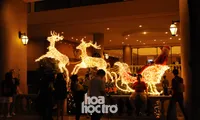 Sài Gòn se lạnh, hân hoan thắp đèn rực rỡ đón Giáng sinh
