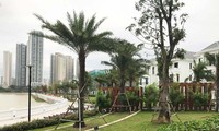Năm 2020, thị trường bất động sản không có dấu hiệu bất thường
