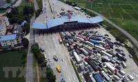 Nhiều doanh nghiệp vận tải không đăng ký được "luồng xanh" bởi phầm mềm bị tấn công dẫn đến ùn tắc tại chốt kiểm dịch những ngày qua.