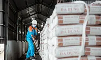 Lợi nhuận Vicem &apos;lao dốc&apos; thấp nhất trong 7 năm