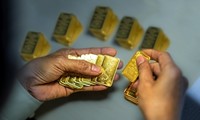 Thêm 7.900 lượng vàng đấu thầu thành công 