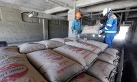 Thị trường vật liệu xây dựng &apos;chết&apos; theo bất động sản