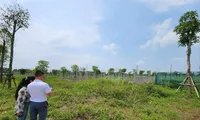 Cuối năm, nhà đầu tư đi săn đất nền