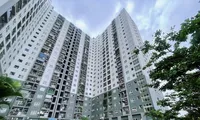 Chưa thực hiện miễn tiền sử dụng đất khi chuyển nhượng NƠXH vì chờ hướng dẫn