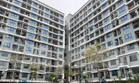 Doanh nghiệp Nhà nước nên hướng vào làm nhà ở giá rẻ