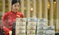 Lý do tiền ùn ùn đổ vào ngân hàng bất chấp lãi suất giảm mạnh