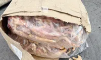 Vạch trần chiêu trò xuất khống 1.400 tấn chân gà để trốn thuế hàng tỷ đồng