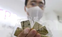 Giá vàng giảm mạnh