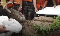 Binh sĩ Trung Quốc nhận bánh sinh nhật bằng bùn giữa lúc vật lộn chống lũ