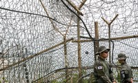 Hàng rào dây thép gai trên biên giới Hàn Quốc - Triều Tiên. Ảnh: Bloomberg
