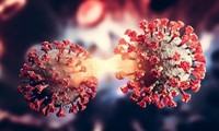 Nóng: Phát hiện biến thể lai giữa Delta và Omicron
