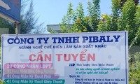 Hai doanh nghiệp bị truy thu và xử phạt hơn 4 tỷ đồng vì vi phạm thuế