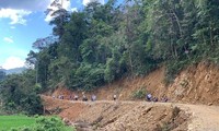 Phá gần 2.000m2 rừng phòng hộ để mở đường thi công thủy điện