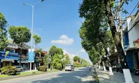 Quảng Ngãi báo cáo gì về các dự án cây xanh sau yêu cầu của cơ quan điều tra Bộ Công an?