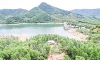 Sai phạm về giao đất, lấn chiếm đất rừng liên quan đến nhiều cựu lãnh đạo huyện Vĩnh Thạnh 