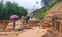 Bình Định có 13 khu vực nguy cơ sạt lở cao