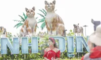 Bạn trẻ diện áo dài chụp hình với linh vật &apos;gia đình mèo&apos; Tết 2023 ở Bình Định