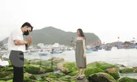 Thích thú check-in với thảm rêu đẹp hiếm có ở biển Quy Nhơn