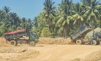 Bình Định: &apos;Cạo trọc&apos; đồi lấy đất khi chưa được cấp phép, nhiều đơn vị bị kiểm điểm