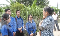 Ngày hội văn hóa, thể thao thanh niên Việt – Lào tại Bình Định