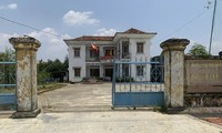 Kỷ luật giám đốc BQL Rừng phòng hộ Vĩnh Thạnh - Bình Định 