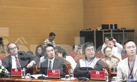 Hơn 1 tỷ USD vốn nước ngoài đang &apos;rót&apos; vào Bình Định