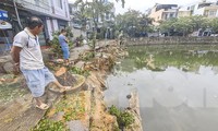 Quy Nhơn chi hơn 3 tỷ đồng chống sạt lở kè Bàu Sen