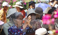 Hàng nghìn người chen chân đi lễ chùa Ông Núi