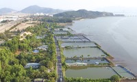 &apos;Khai tử&apos; dự án vui chơi giải trí gần 800 tỷ ở Bình Định