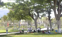 Bình Định đầu tư hơn 900 tỷ đồng phát triển cây xanh đô thị