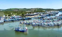 Hai ngư dân Bình Định rơi xuống biển tử vong