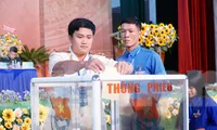 Toàn cảnh Đại hội Đại biểu Đoàn TNCS tỉnh Khánh Hòa lần thứ XII