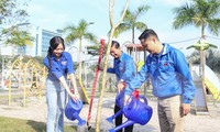 Hoa hậu Thanh Thủy cùng bạn trẻ Đà Nẵng hưởng ứng Tết trồng cây