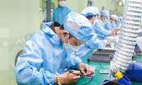 Đà Nẵng thành lập Trung tâm Nghiên cứu, đào tạo thiết kế vi mạch và AI