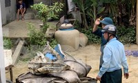 Vụ rơi máy bay qua lời kể của người dân ở hiện trường