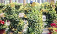 Quất bonsai tạo hình chuột khuấy động chợ hoa Tết.