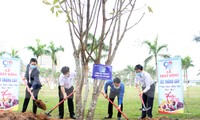 Năm nay, Thành Đoàn Đà Nẵng phấn đầu trồng 50 ngàn cây xanh trên địa bàn, riêng trong Tháng Thanh niên sẽ trao tăng 20 ngàn cây xanh (cây keo) là sinh kế hỗ trợ thanh niên trên địa bàn huyện Hòa Vang lập nghiệp
