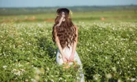 Khám phá Tây Nguyên: Ngất ngây với “cánh đồng tuyết” mộng mơ giữa lòng phố núi