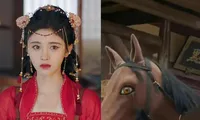Không chỉ Cúc Tịnh Y trong “Gia Nam Truyện”, Triệu Lệ Dĩnh cũng từng cưỡi ngựa &quot;pha ke&quot;