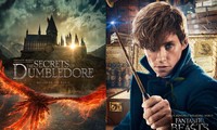 Chim phượng hoàng của cụ Dumbledore xuất hiện trong “Fantastic Beasts 3” và ý nghĩa của nó