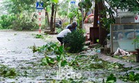 Đà Nẵng sau cơn cuồng phong bão số 9: Mỗi người một tay dọn dẹp cảnh ngổn ngang