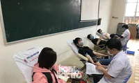 Chủ Nhật Đỏ: Sinh viên ĐH Đà Nẵng sưởi ấm ngày Đông lạnh bằng những giọt máu hồng